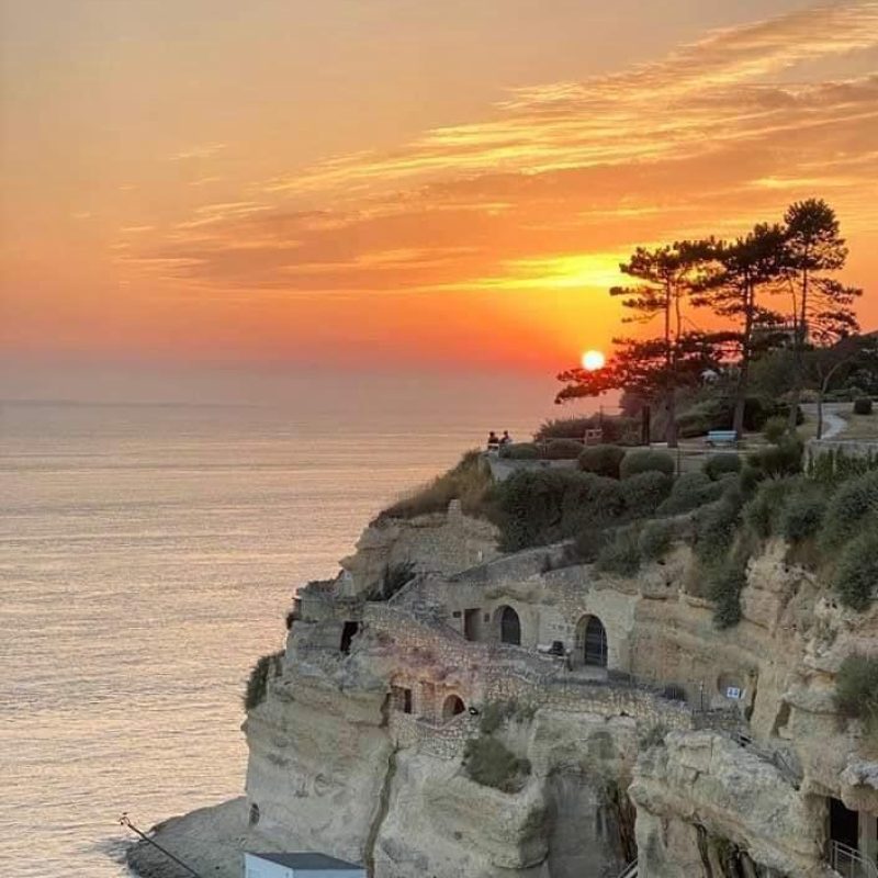 WhatsApp Image 2026-01-14 at 23.23.10