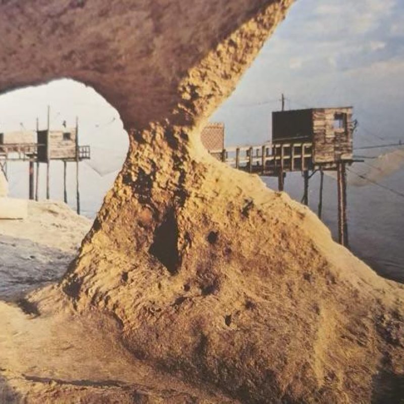 WhatsApp Image 2026-01-14 at 23.23.11 (1)