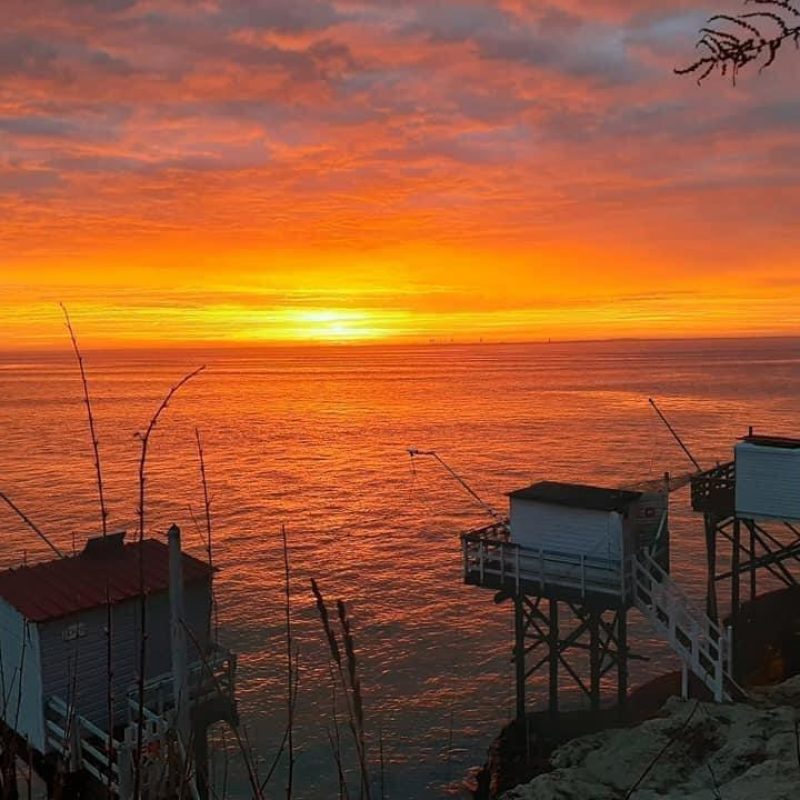 WhatsApp Image 2026-01-14 at 23.23.11 (3)