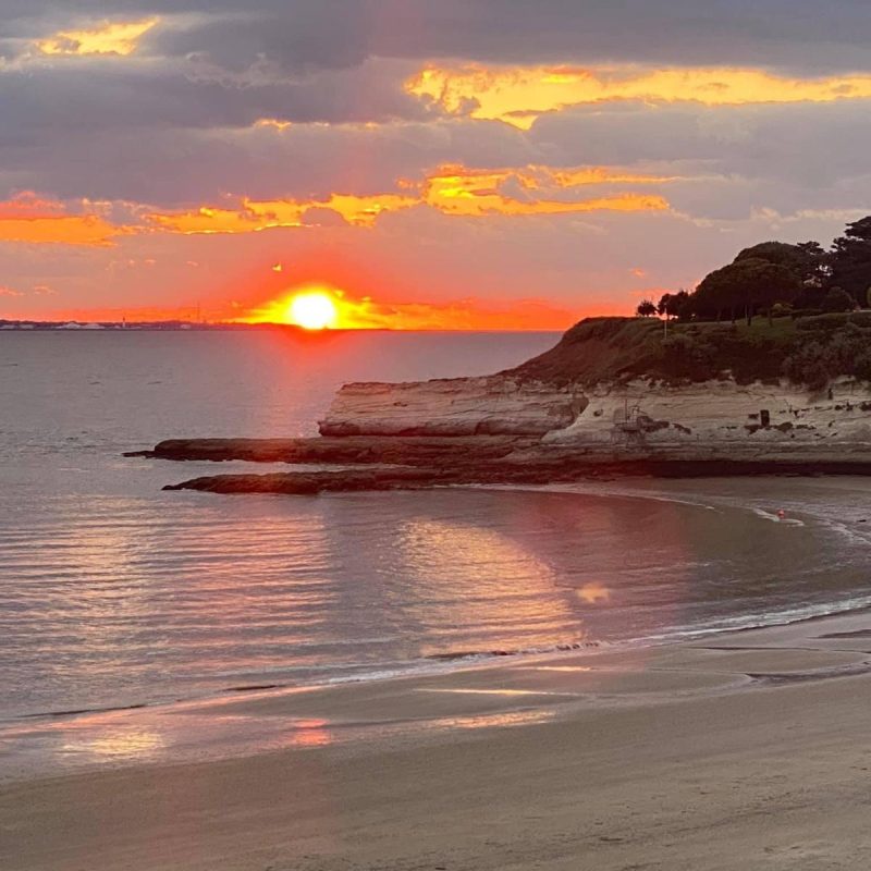 WhatsApp Image 2026-01-14 at 23.23.11 (4)