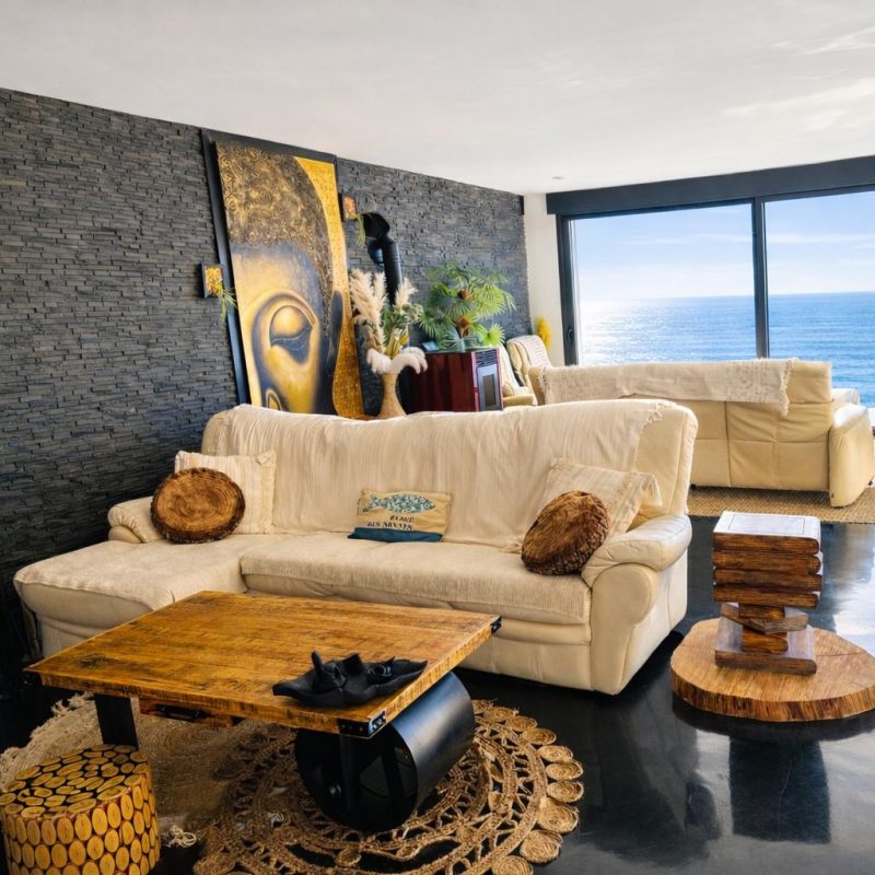 Salon image le Dauphin, vue sur la mer