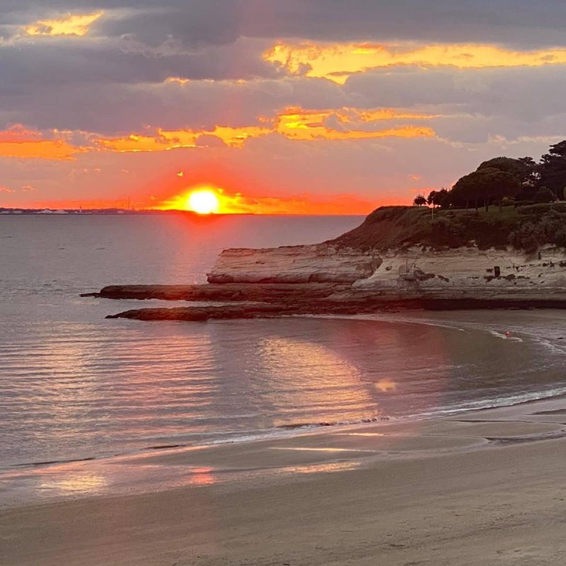 WhatsApp Image 2026-01-29 at 11.47.42 (1)