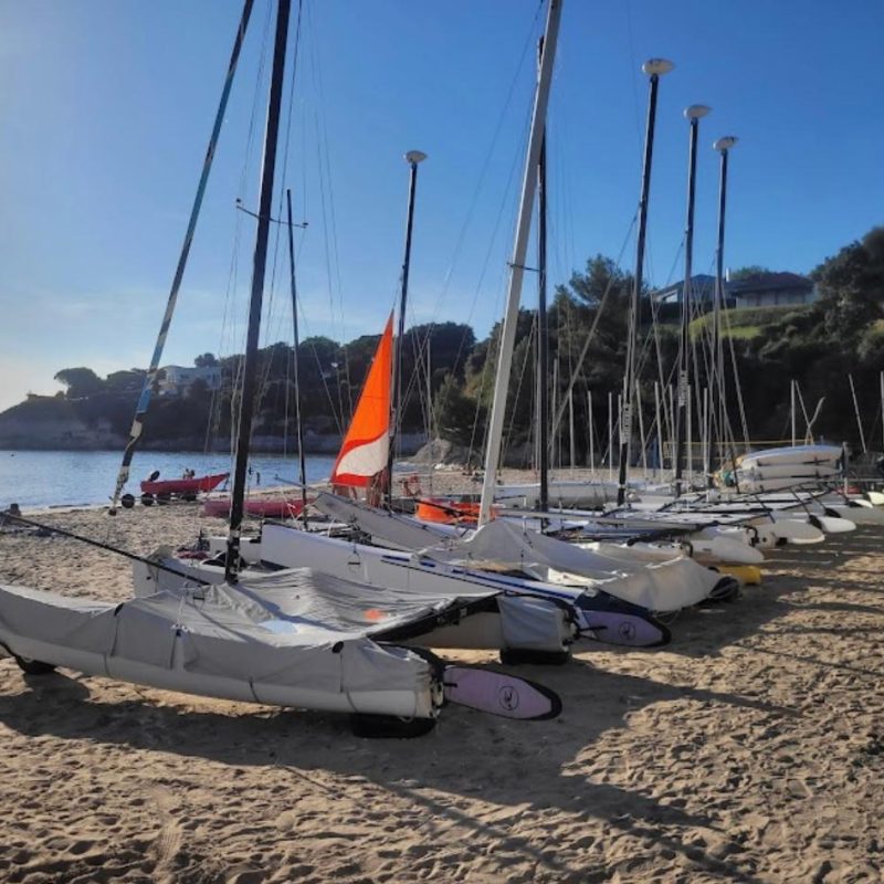 WhatsApp Image 2026-01-29 at 13.19.45 (2)